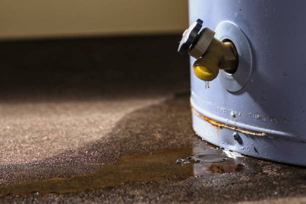 Best Mold removal after water damage  in Navarre Beach, FL