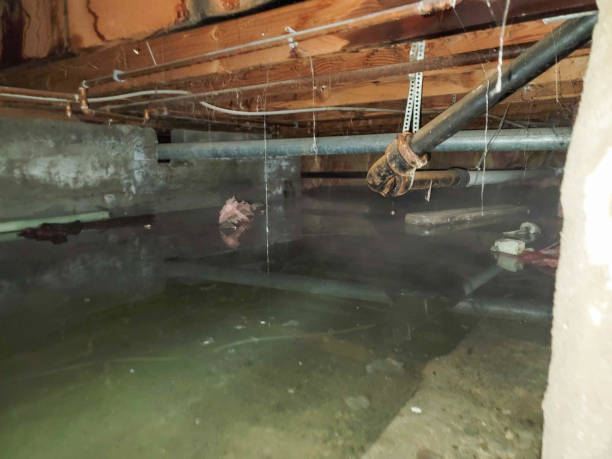 Best Sewage cleanup and water damage restoration  in Navarre Beach, FL