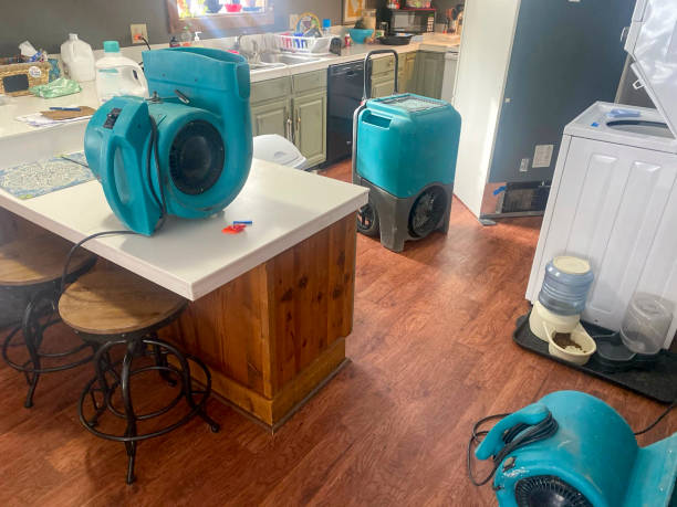 Best Residential water damage restoration  in Navarre Beach, FL