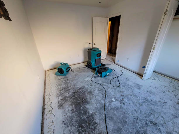 Professional Water damage restoration in Navarre Beach, FL
