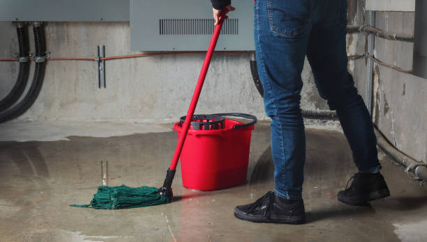 Best Water damage mitigation services  in Navarre Beach, FL