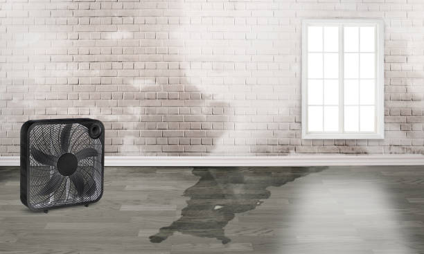 Best Flood restoration services  in Navarre Beach, FL