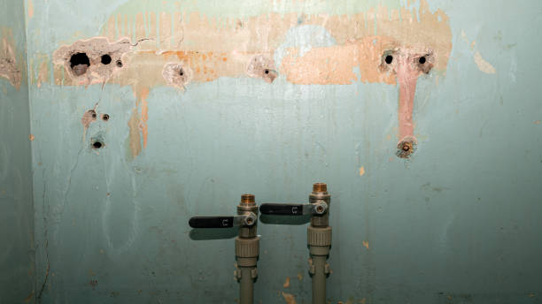 Best Flooded house restoration  in Navarre Beach, FL