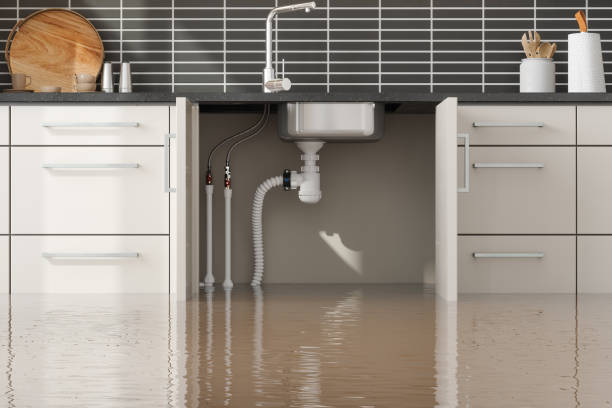 Best Water damage restoration mold remediation  in Navarre Beach, FL
