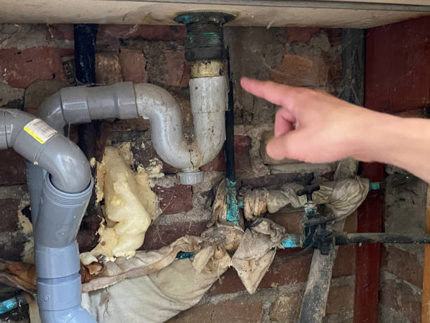 Best Water damage contractors near me  in Navarre Beach, FL