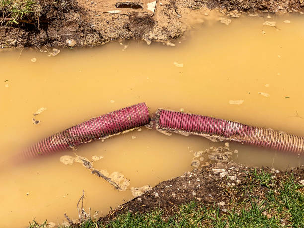 Best Local water damage restoration  in Navarre Beach, FL