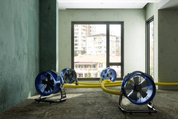 Best Professional water damage repair  in Navarre Beach, FL